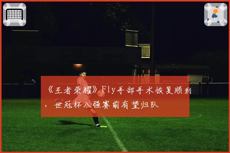 《王者荣耀》Fly手部手术恢复顺利,世冠杯八强赛前有望归队