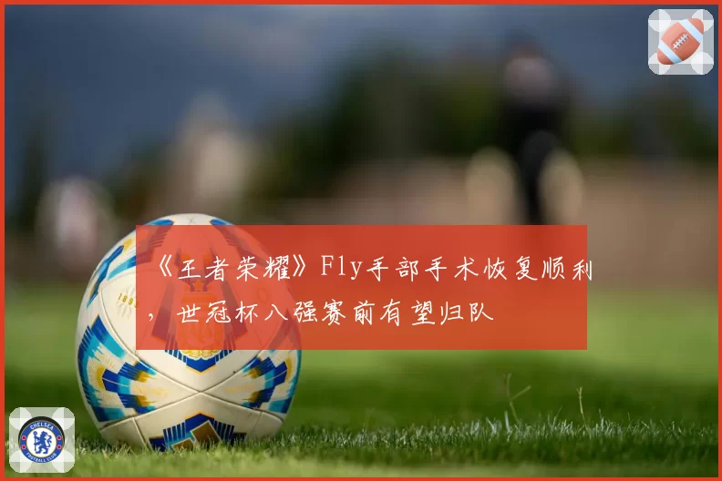 《王者荣耀》Fly手部手术恢复顺利,世冠杯八强赛前有望归队