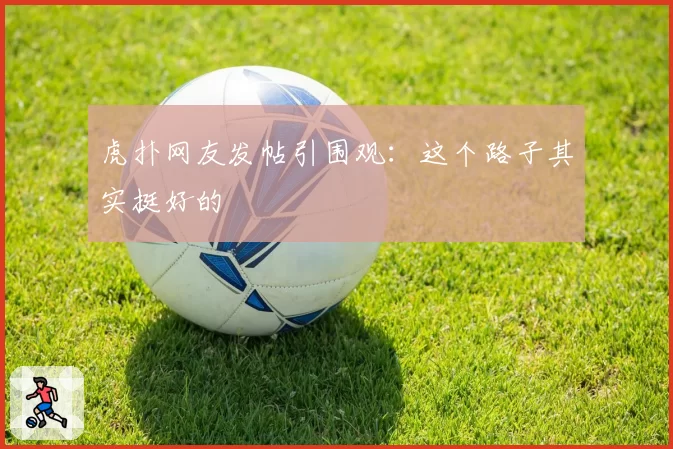 虎扑网友发帖引围观：这个路子其实挺好的