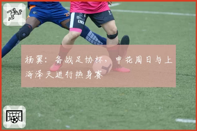 杨翼：备战足协杯，申花周日与上海泽天进行热身赛