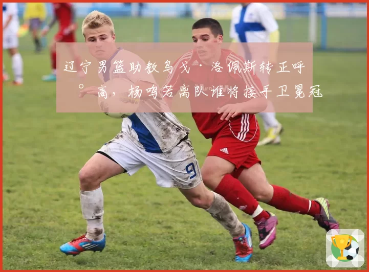 辽宁男篮助教乌戈·洛佩斯转正呼声高，杨鸣若离队谁将接手卫冕冠军？