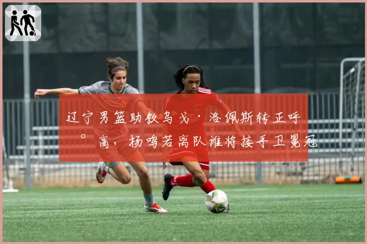 辽宁男篮助教乌戈·洛佩斯转正呼声高，杨鸣若离队谁将接手卫冕冠军？